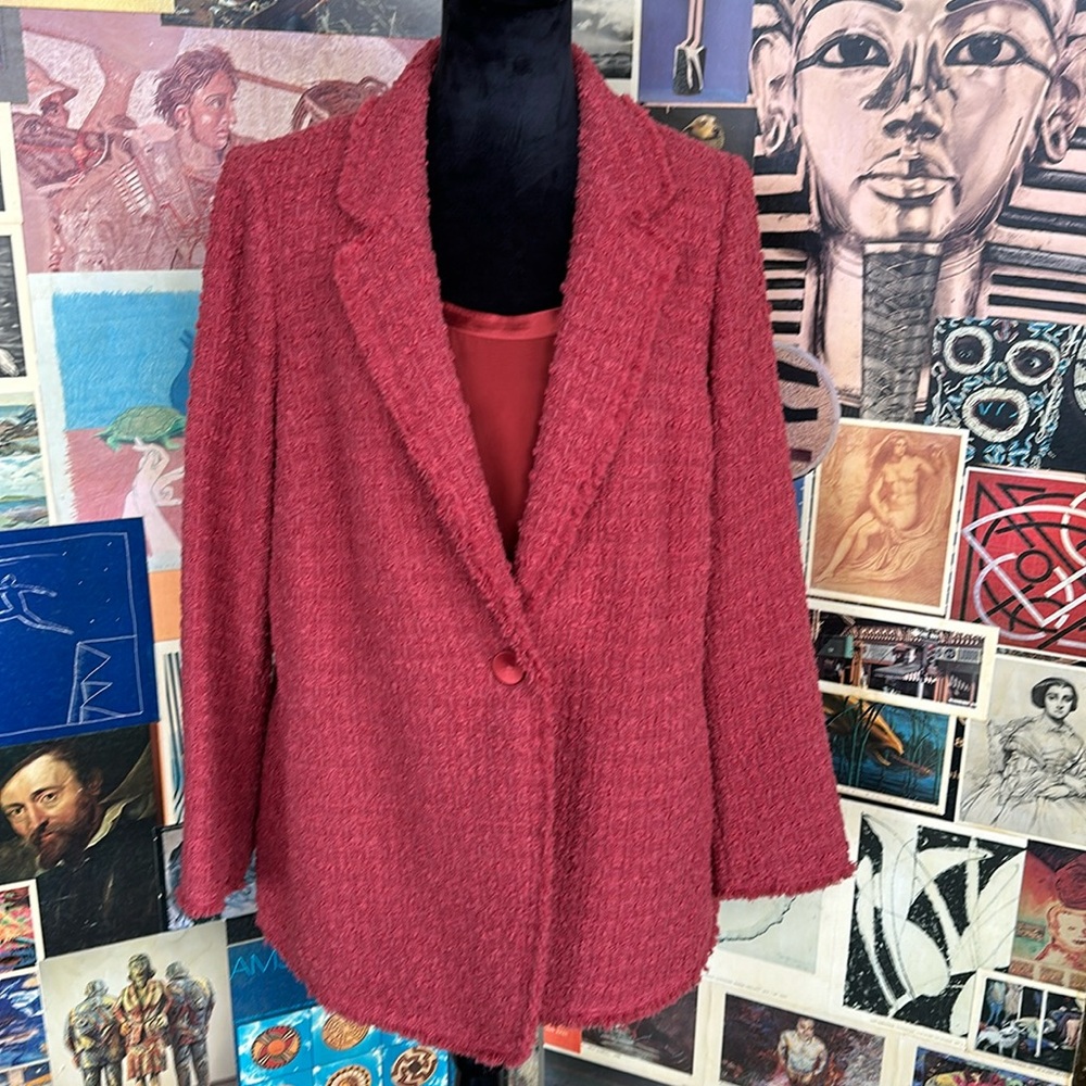 Wonderful Lafayette 148 New York RUST Blazer with Silk Shirt 16W